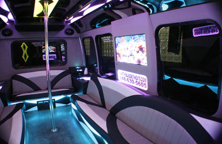 Livonia party bus